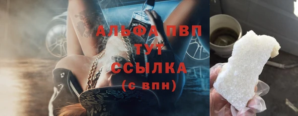твердый Богданович