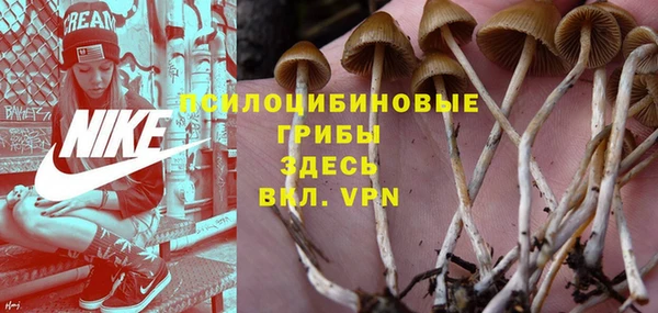 Альфа ПВП Беломорск