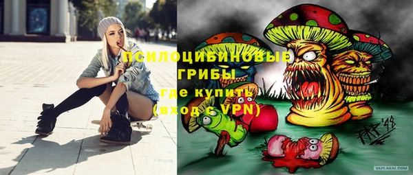 твердый Богданович