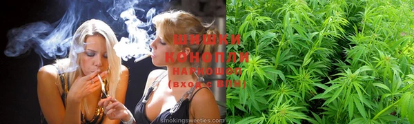 твердый Богданович