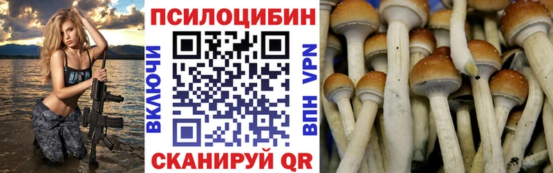блэк спрут ТОР  мориарти телеграм  Псилоцибиновые грибы мицелий  Мариинский Посад 